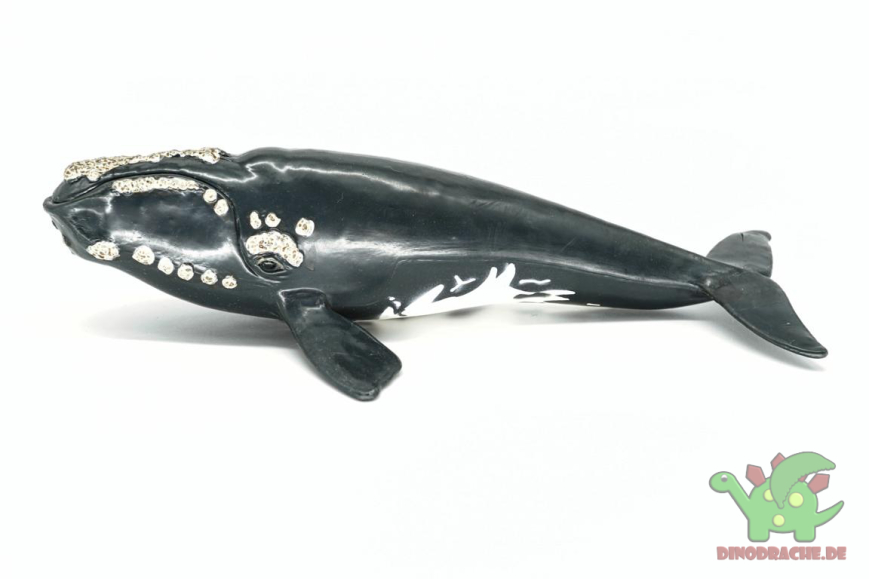 Schleich Nordkaper Wal 14558